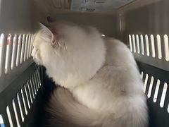 -宠颐生动物医院·心脏科·保险定点(锦阳分院)