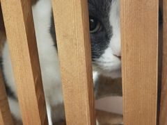 -颐玖 咖啡|甜品