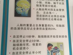 -首都医科大学附属北京潞河医院