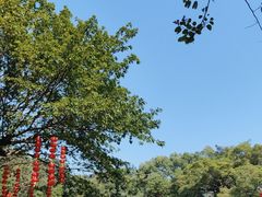 -广州市白云山风景名胜区