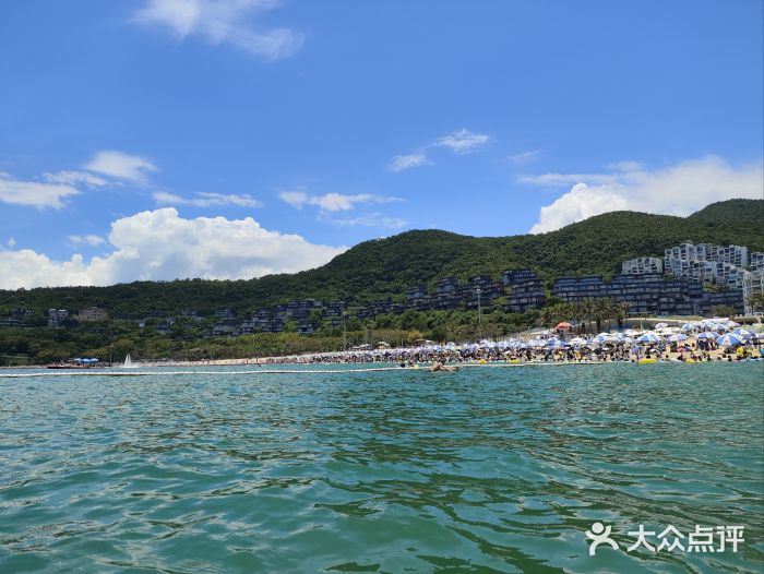 大梅沙海滨公园图片