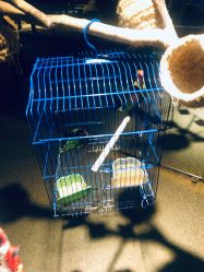 -酷嗒动物文化乐园(cutezoo西溪乐天城店)