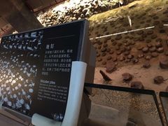 -元代水闸遗址博物馆
