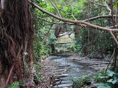 -燕晗山郊野公园
