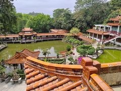 -深圳仙湖植物园