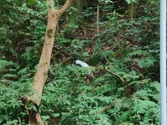 -火炉山森林公园