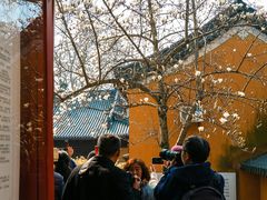-灵谷景区