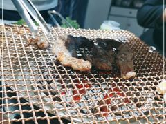 -范儿·嫂子烤肉·精致炭火烤肉(长治路店)