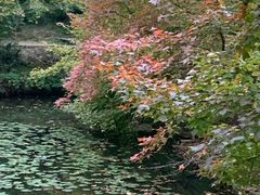 -第六空间国际家居(旺墩路店)