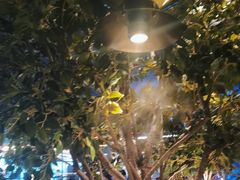 -同仁四季椰子鸡(海岸城天利店)