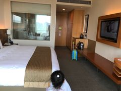 -上海浦东康桥绿地假日酒店