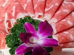 -蜀大侠火锅(四川北路店)