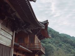 -达蓬山旅游度假区