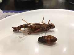 炸昆虫-蓝钻·国际美食海鲜自助百汇(西直门店)