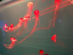 -多彩贵州城极地海洋世界