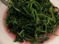 -蝶园·装修中(BFC外滩金融中心店)