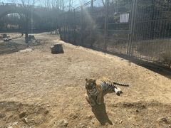 -济南野生动物世界