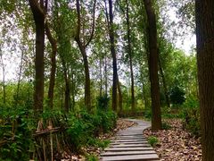 -溱湖国家湿地公园