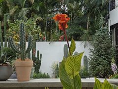 -自由生长植物工作室(深港花卉中心店)