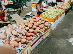-三亚新鸿港水果一级批发市场