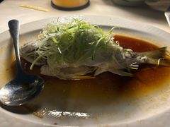 -沙龙酒家