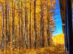 -莫尔道嘎国家森林公园