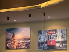 -Efes Turkish & Mediterranean Cuisine 艾菲斯餐厅(陆家嘴店)
