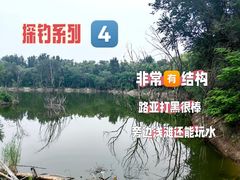 -绿堤公园