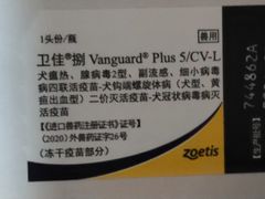 -佳怡动物医院·平价24小时·猫专科骨外科