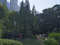 -成都市活水公园