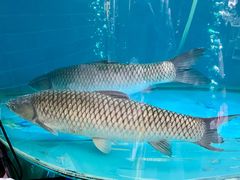 -红日饭店(裕隆三路店)