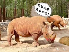 -北京野生动物园