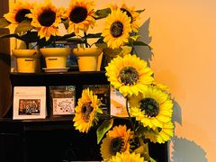 -禧室Joyous Lounge(禧园店)