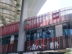 -MR鹅外