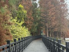 -海珠湖公园