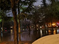 -木塔寺遗址生态公园