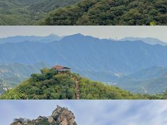 -大岭沟猕猴桃谷风景区