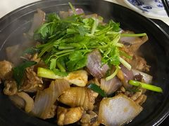 -海兴炭炉鸡(桥中北路店)