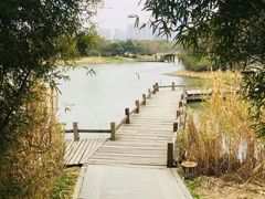 -艾溪湖湿地公园