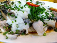 起鱼片蒸罗非鱼-鸽王世家(东华东路店)