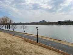 -羊山湖公园