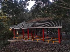 -金鸡山公园