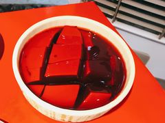 特色鲜鸭血-二荆条·蜀鲜汇城市森林火锅