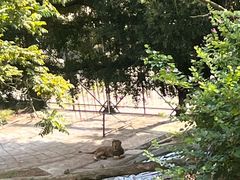 -深圳野生动物园