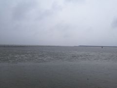 -碧海金沙