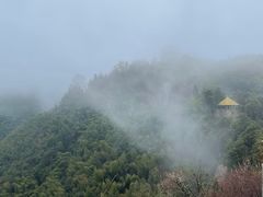 -莫干山风景区
