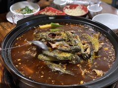 -金海椒罐罐鲢鱼(东方桂苑店)