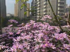 -THE hood开新里(御桥路店)