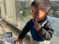 -上海佘山世茂艾美酒店