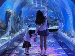 -顺德南宏海立方海洋公园